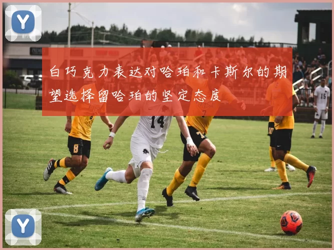 白巧克力表达对哈珀和卡斯尔的期望选择留哈珀的坚定态度